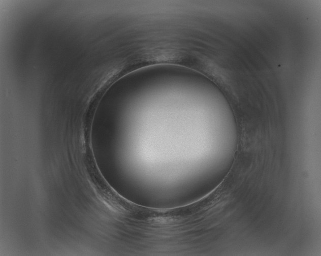 X0000067930251200604201503