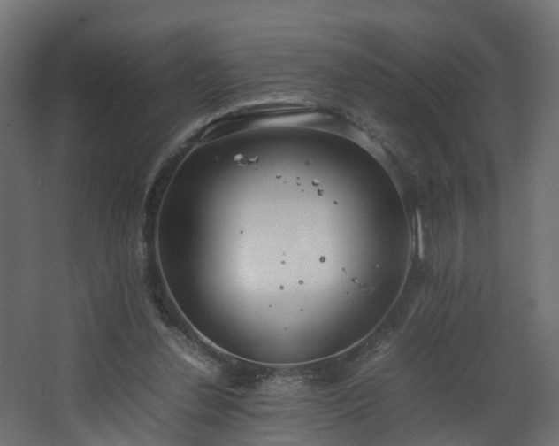 X0000067930252200604201503