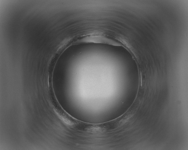 X0000067930253200604201503