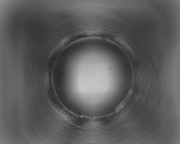 X0000067930260200604201504