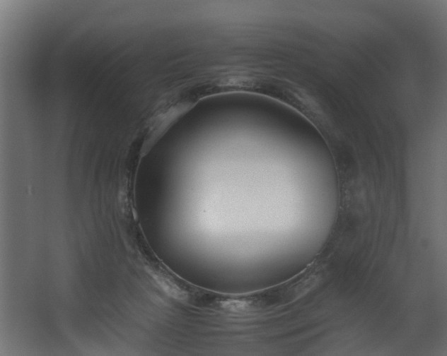 X0000067930265200604201504