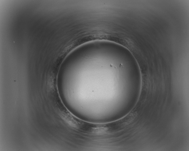 X0000067930266200604201504