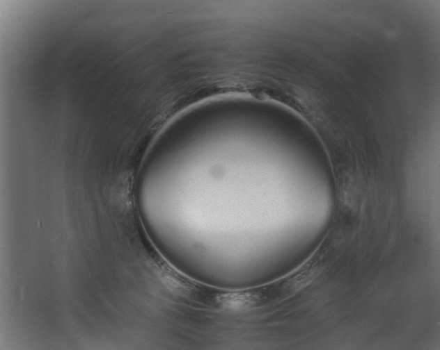 X0000067930273200604201504