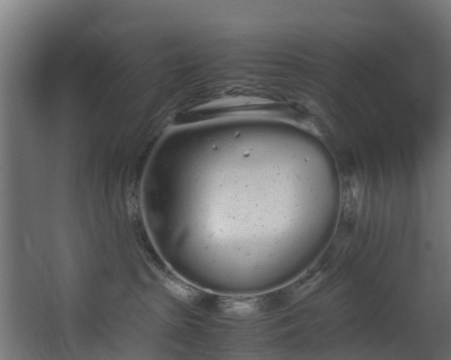 X0000067930285200604201504