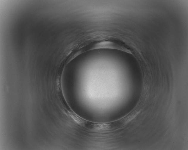 X0000067930288200604201504