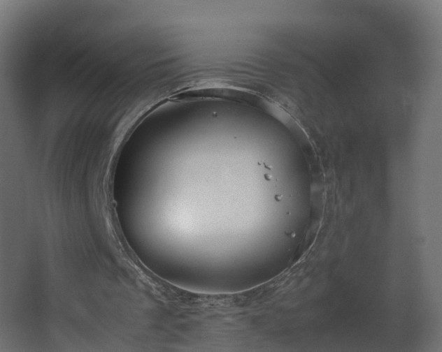 X0000067930289200604201503