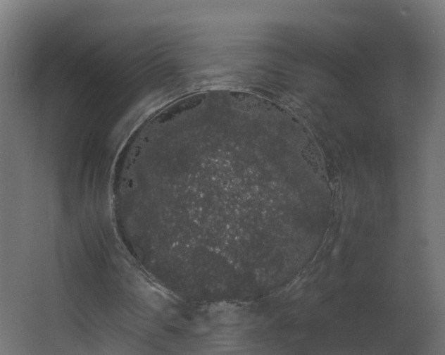 X0000067930290200604201503