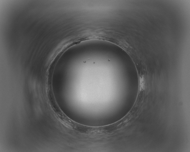 X0000067930291200604201503