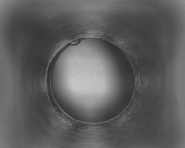 X0000067930292200604201503