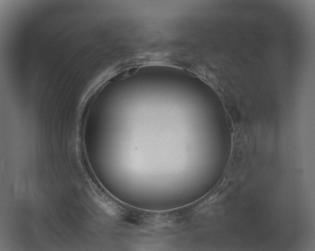 X0000067930293200604201503