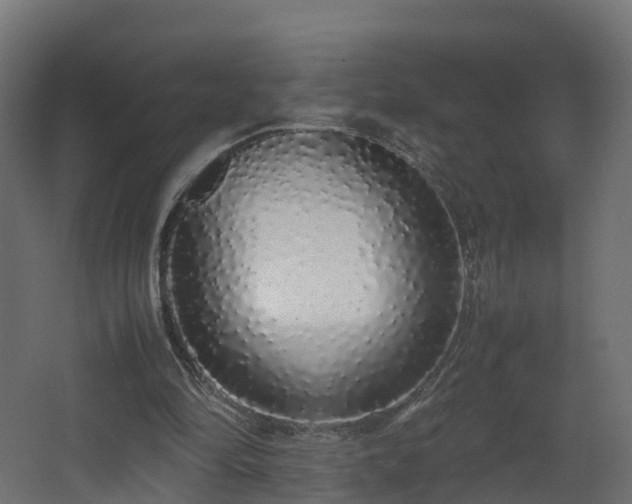 X0000067930294200604201503