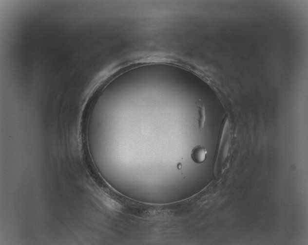 X0000067930296200604201503