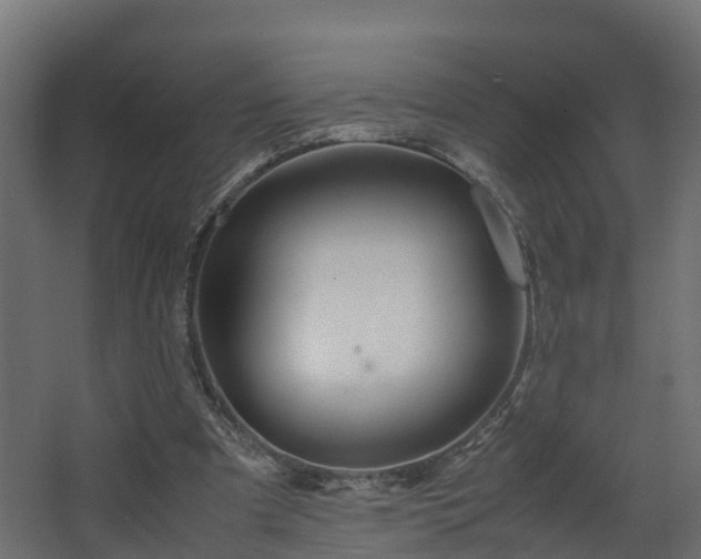 X0000067930297200604201503