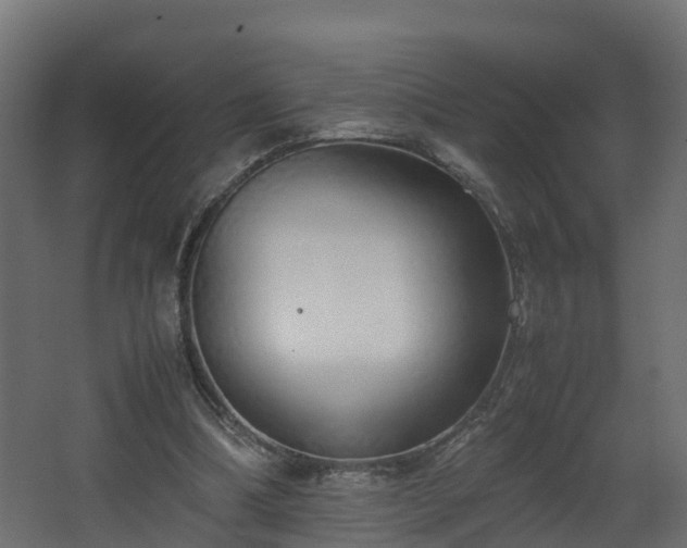 X0000067930298200604201503