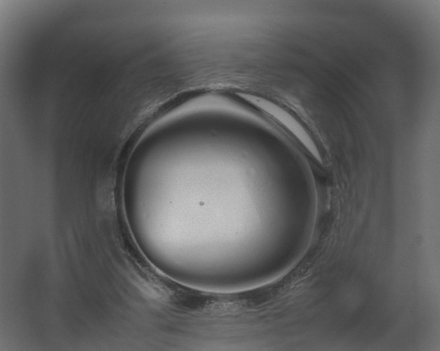 X0000067930299200604201503