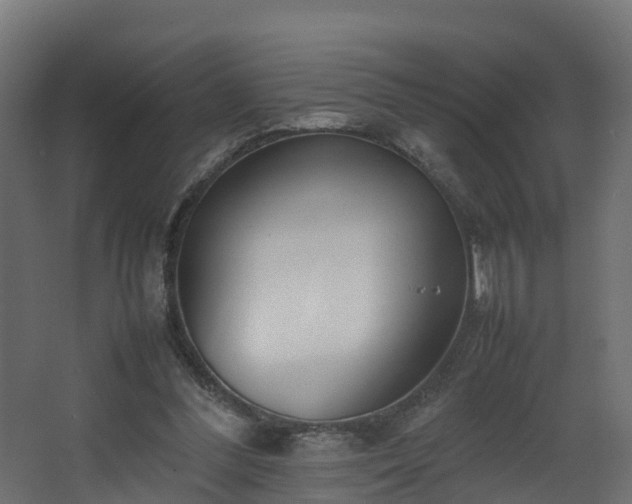 X0000067930300200604201503