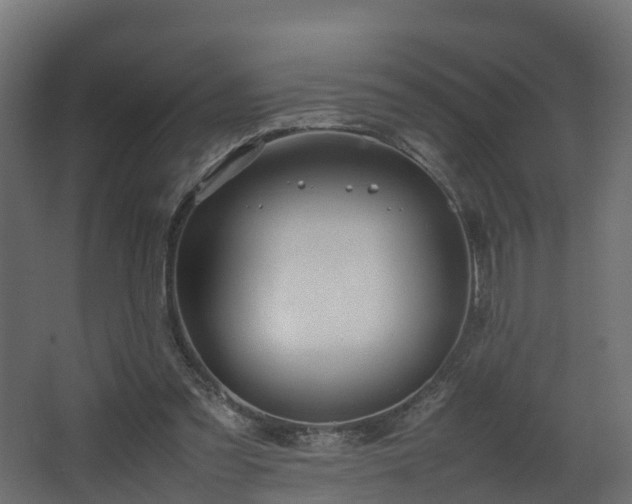 X0000067930301200604201503