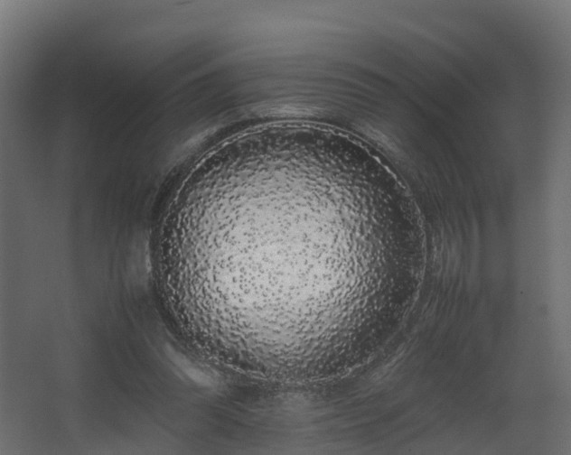 X0000067930302200604201503