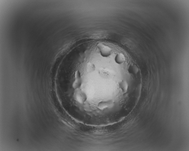 X0000067930303200604201503