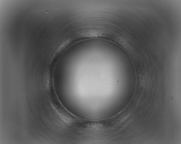 X0000067930304200604201503