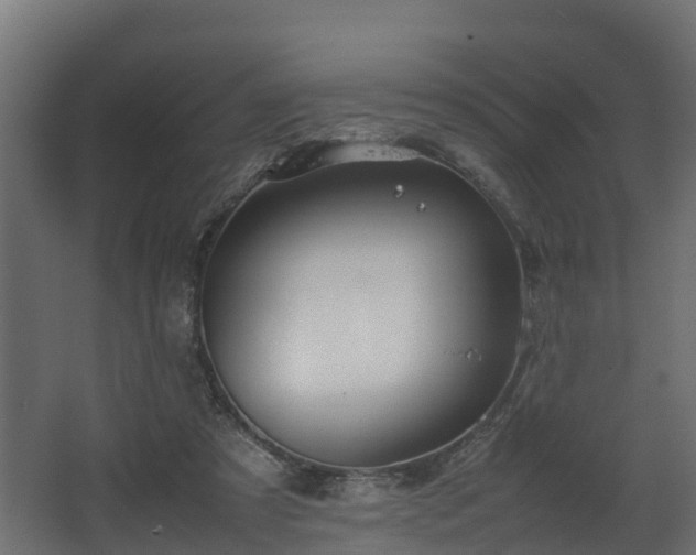 X0000067930305200604201503