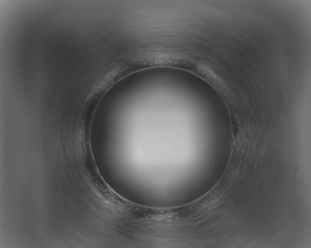 X0000067930306200604201503