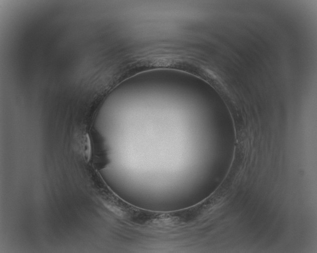 X0000067930307200604201503