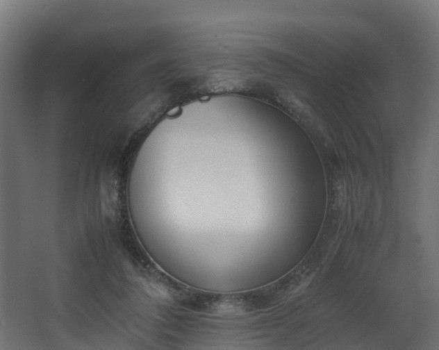 X0000067930308200604201503