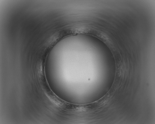 X0000067930310200604201503