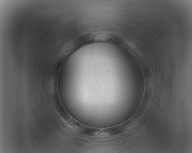 X0000067930311200604201503