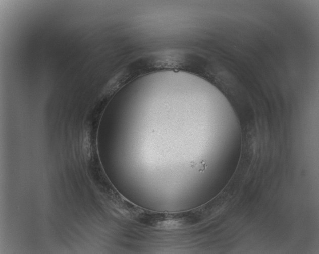 X0000067930312200604201503