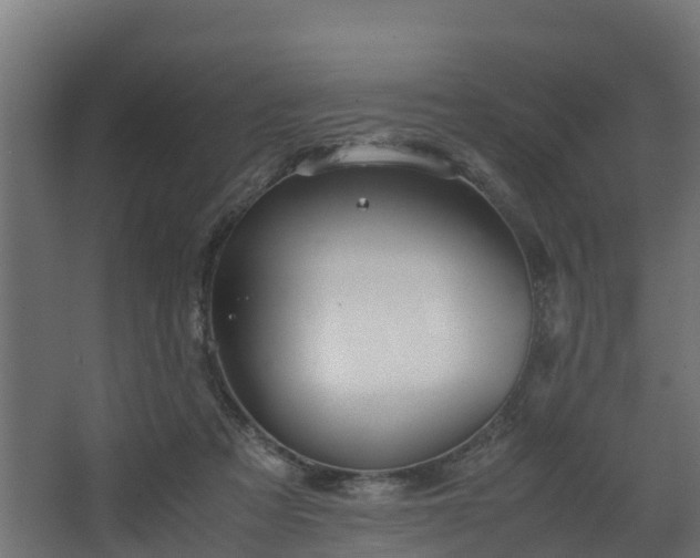 X0000067930313200604201503