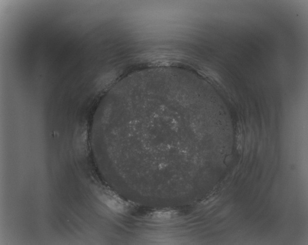 X0000067930314200604201503