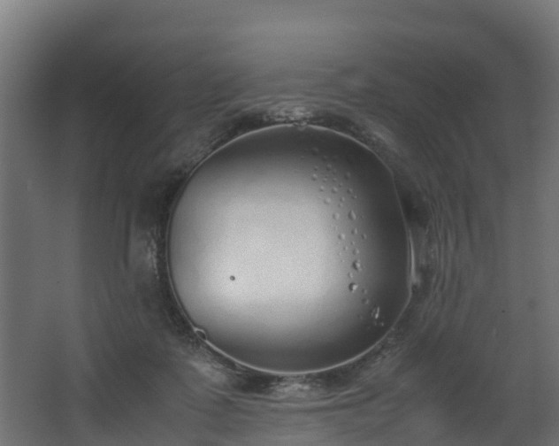 X0000067930315200604201503