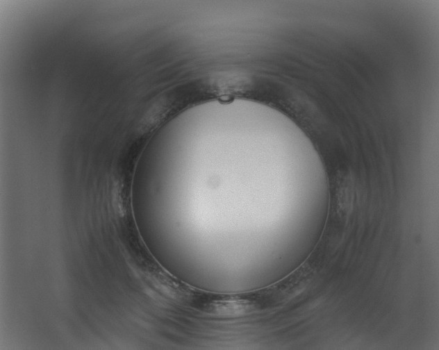 X0000067930316200604201503