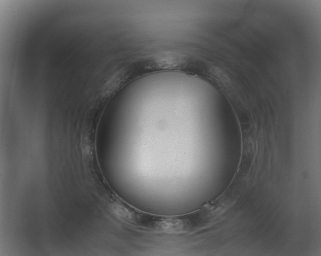 X0000067930317200604201503