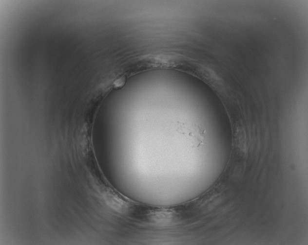 X0000067930318200604201503