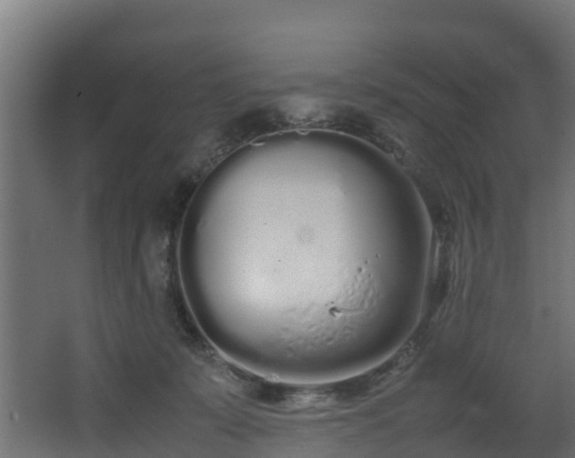 X0000067930319200604201503