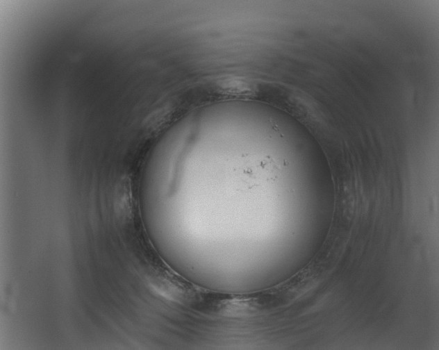 X0000067930320200604201503