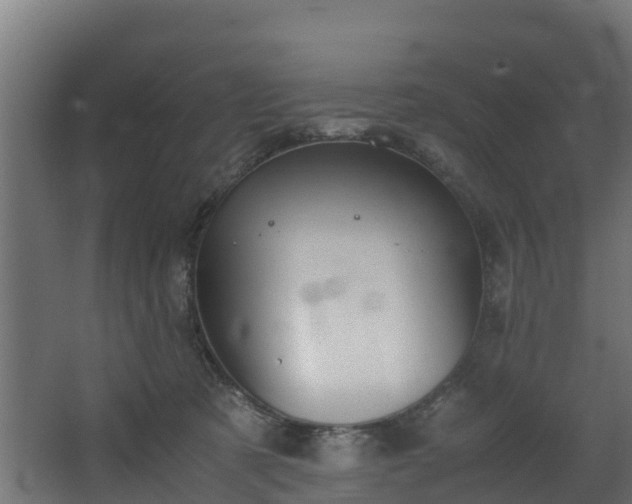 X0000067930321200604201503