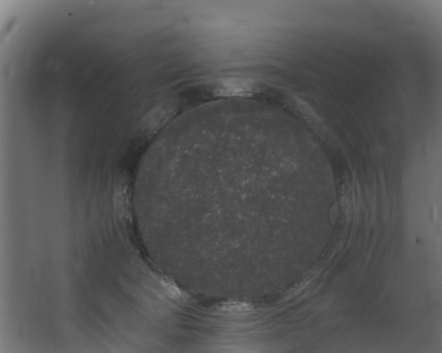 X0000067930322200604201503