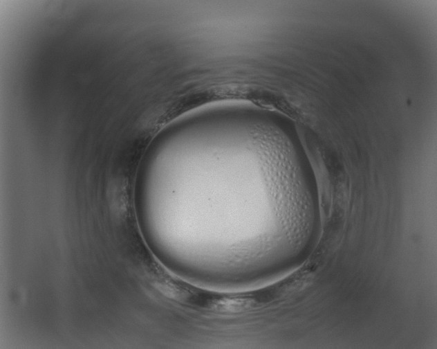 X0000067930323200604201503