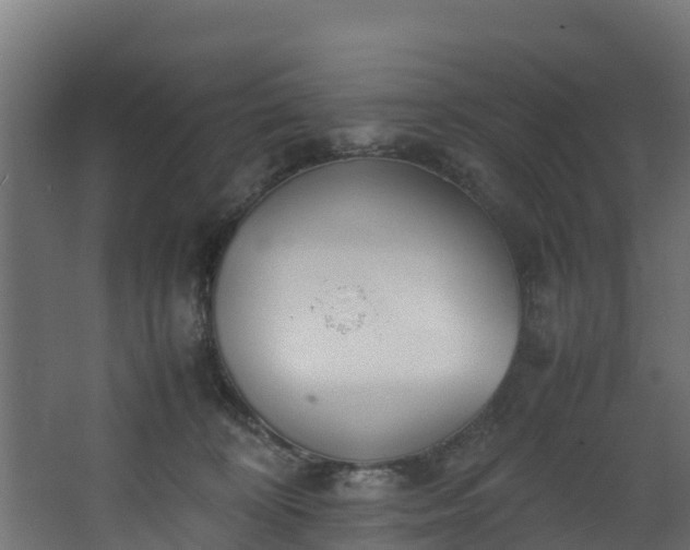 X0000067930324200604201503