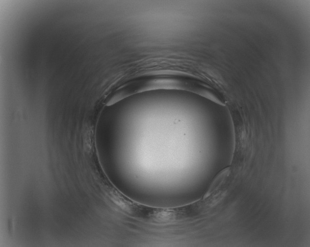 X0000067930325200604201503