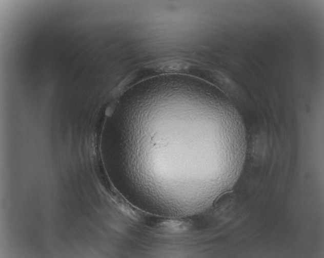 X0000067930326200604201503