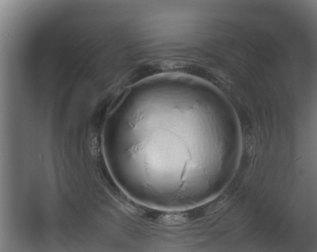 X0000067930327200604201503