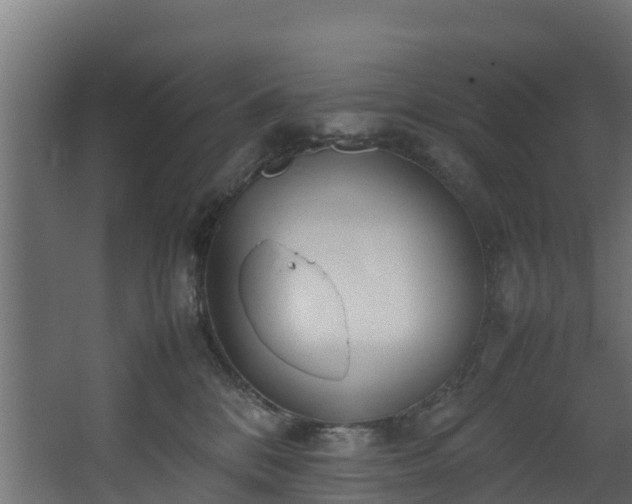 X0000067930328200604201503