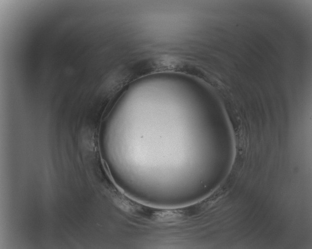 X0000067930331200604201503