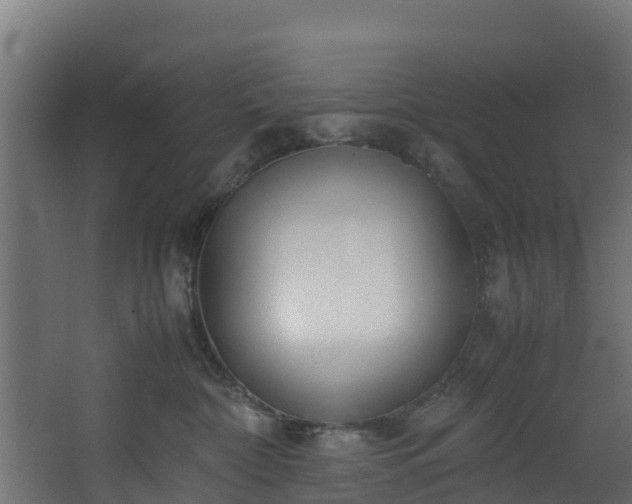 X0000067930332200604201503