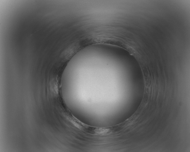 X0000067930334200604201502